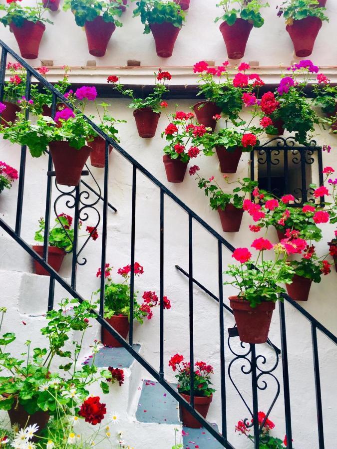 Ribera Del Quivir Apartment Cordoba Exterior photo